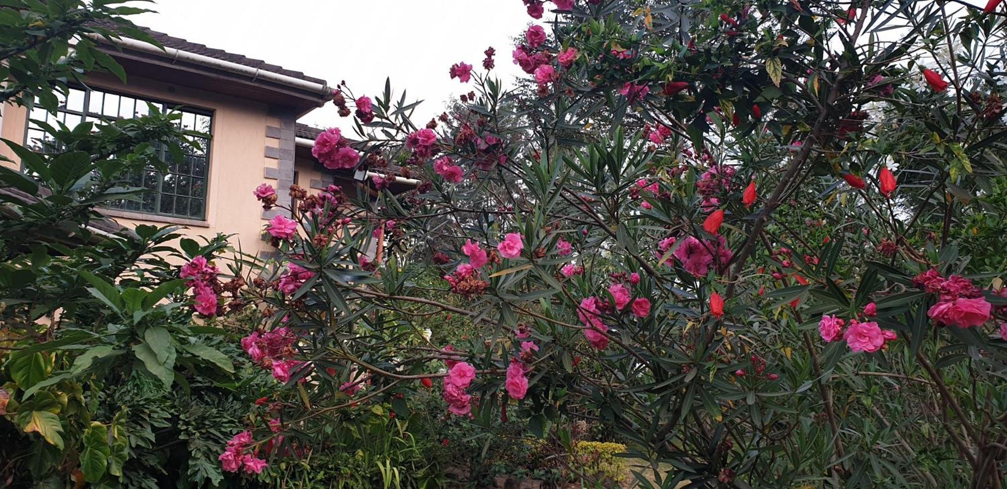 Spurwing Guest House Ναϊρόμπι Εξωτερικό φωτογραφία