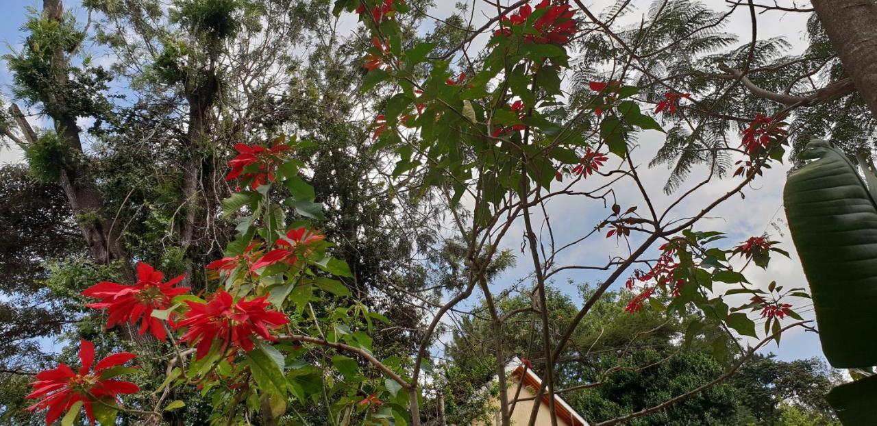 Spurwing Guest House Ναϊρόμπι Εξωτερικό φωτογραφία